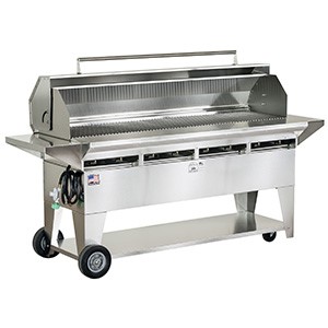 A4SSE Gas Grills