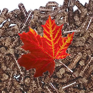 5 lbs. of Maple Wood Smoking Pellets