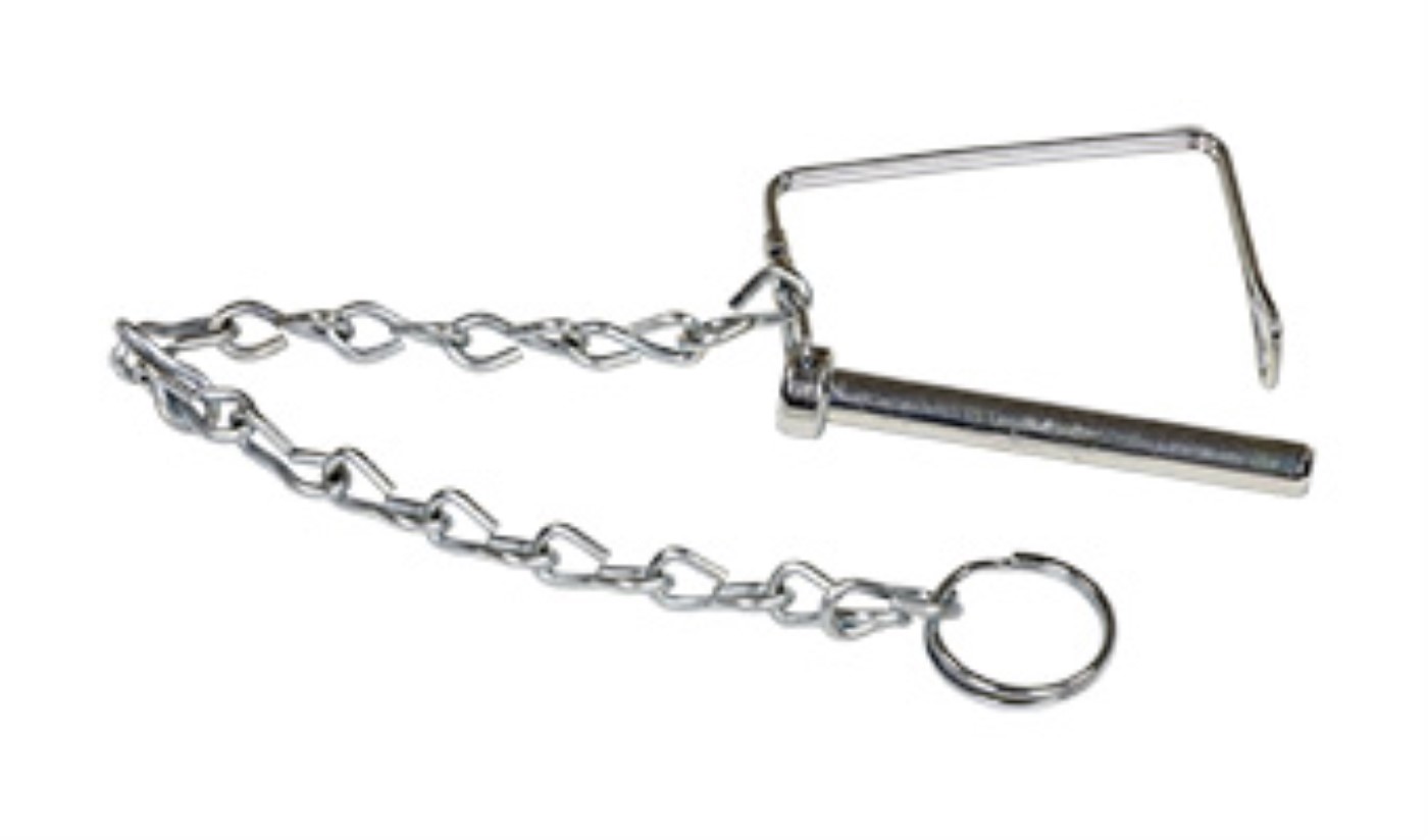 Stainless Steel Pin with Chain